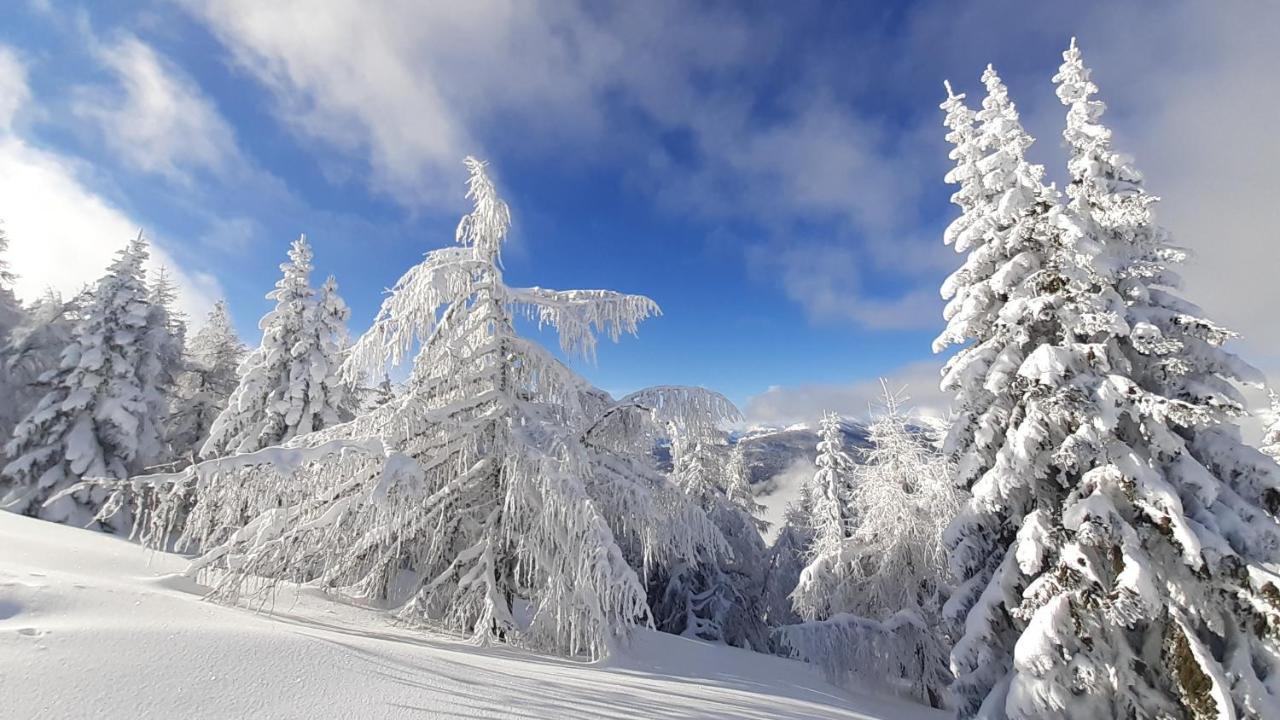 Chalet Verdino باد كلينكيرشهايم المظهر الخارجي الصورة