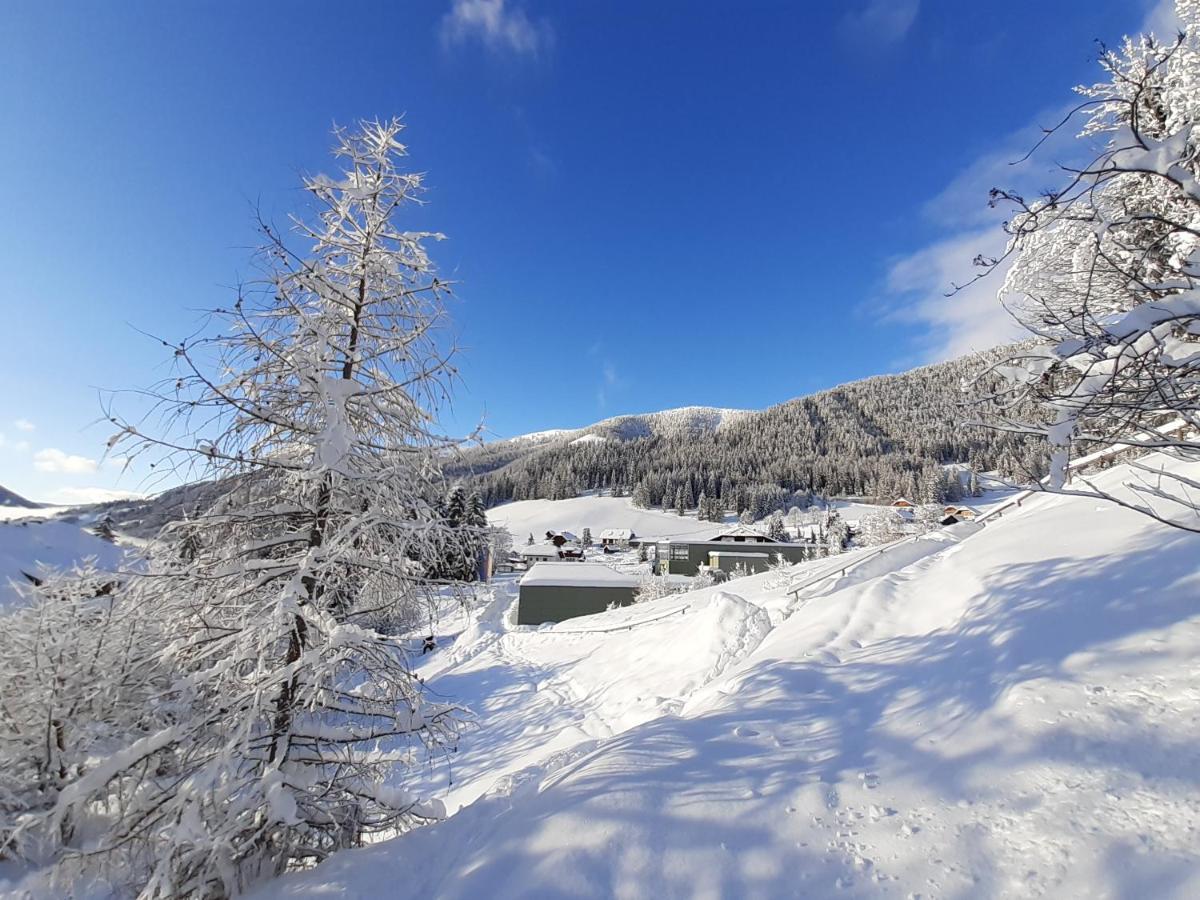 Chalet Verdino باد كلينكيرشهايم المظهر الخارجي الصورة